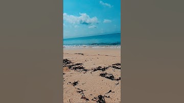 Tsunami Wave SIZE Comparison with Footage #tsunami #tsunamisizewaves #DisasterCaughtOnCamera #Shorts