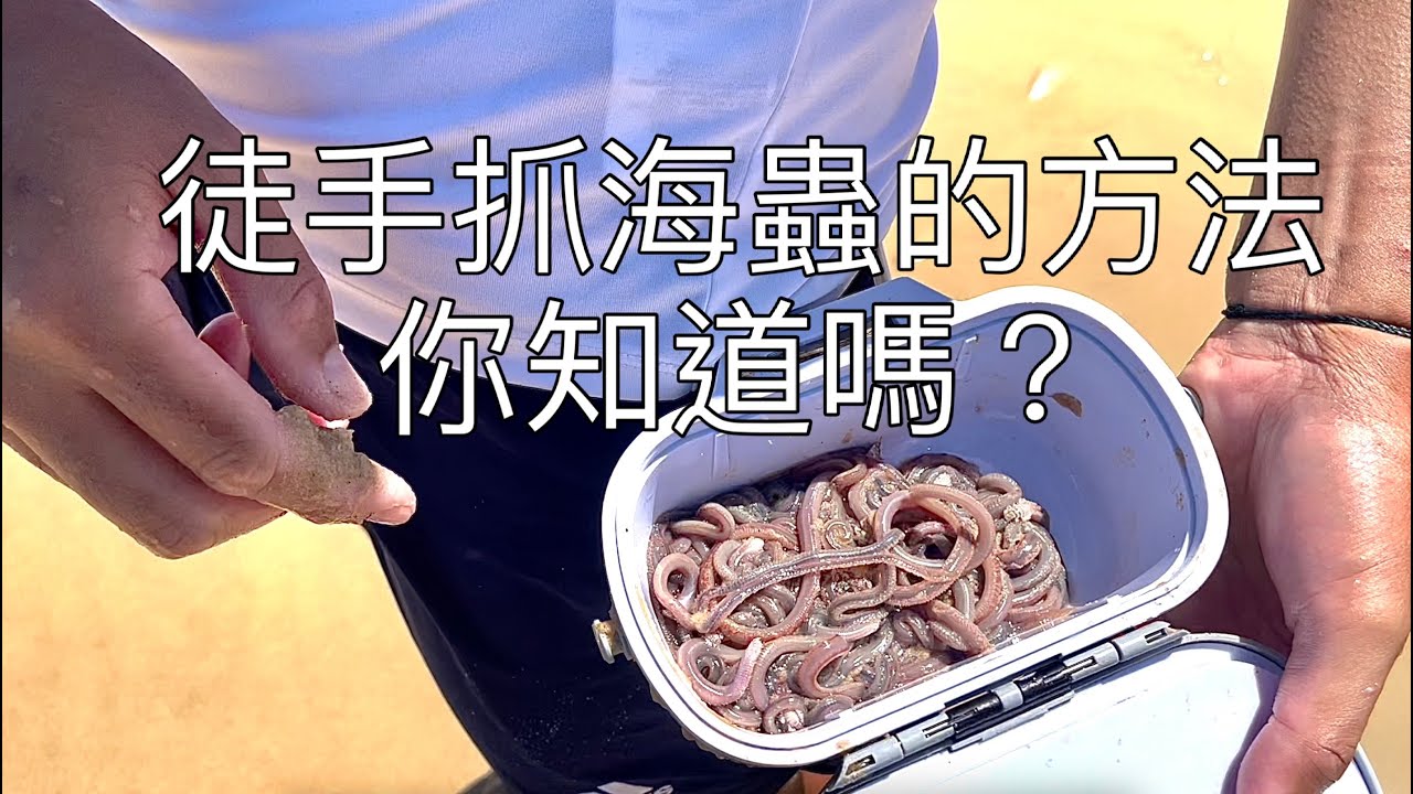 用手抓海蟲技巧,灘釣沙梭,赤翅仔,幽面仔,在澳洲海鲜靠自己, 想吃魚就到海邊走一趟#昆士蘭 #澳洲 #tailor #sunshinecoast #陽光海岸#黃金海岸#布里斯本#fishing