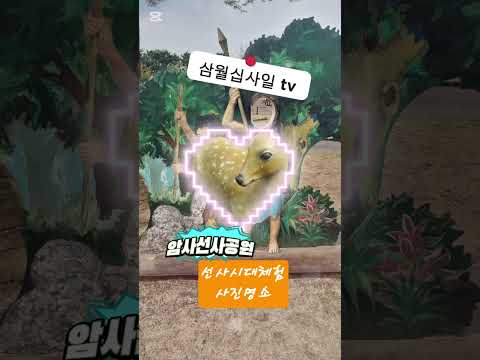 월량대표아적심 정서주 미스트롯3진 감성보이스 기다리는마음