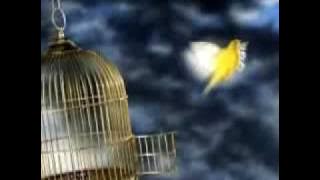 Jare Jabi Jodi Jaa- Agun