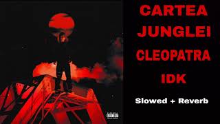 Download Lagu IDK - CLEOPATRA (Slowed + Reverb) MP3 Download Lagu IDK - CLEOPATRA (Slowed + Reverb) MP3