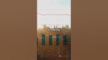 Alphabet Q2 Earnings Beat! Google Stock Undervalued? | Stock Market News