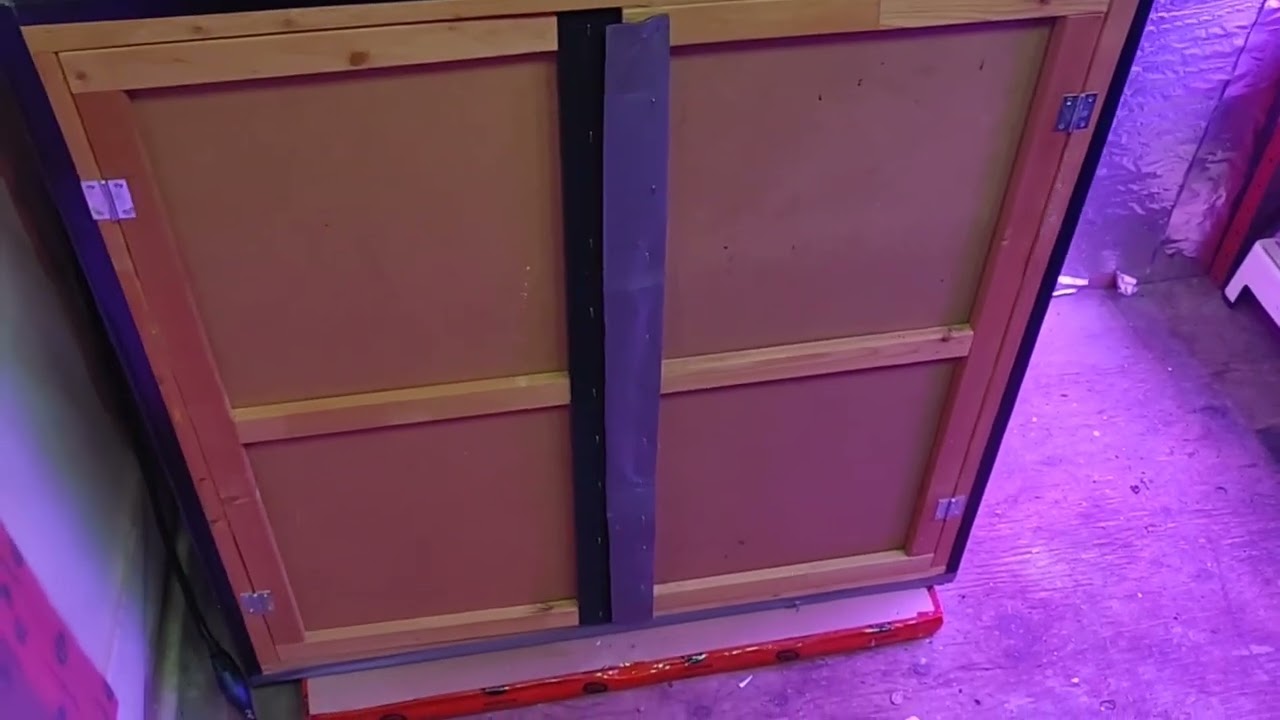 Dr Greenthumb -  Grape Gorilla Autoflower - week 9 