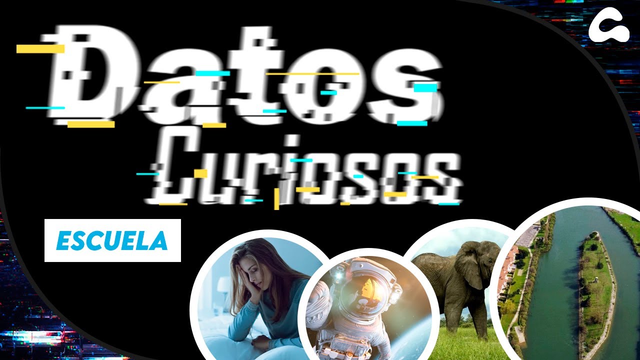 DATOS CURIOSOS QUE NO SE VEN  EN LA ESCUELA 😲🤓