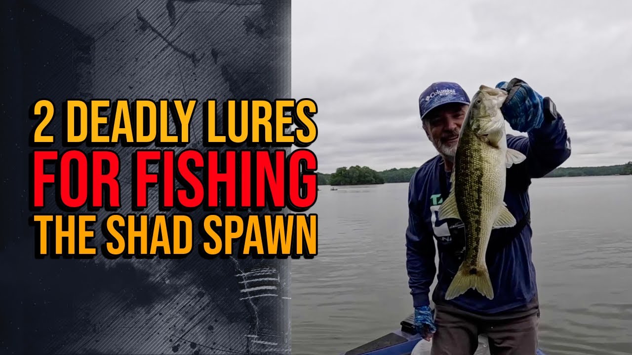Fishing The Shad Spawn   Two Deadly Lures