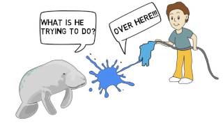 Manfred Manatee Ep 2 - Food and Water