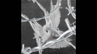 Reubencmg Bhriz - Assassin Interlude