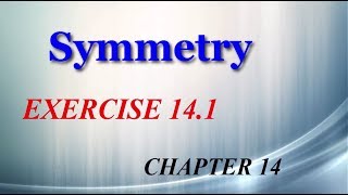 Symmetry 14.1