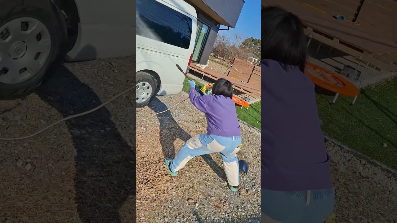 ハイエースにバードミサイル落ちたので洗車おばさん頼んだら……