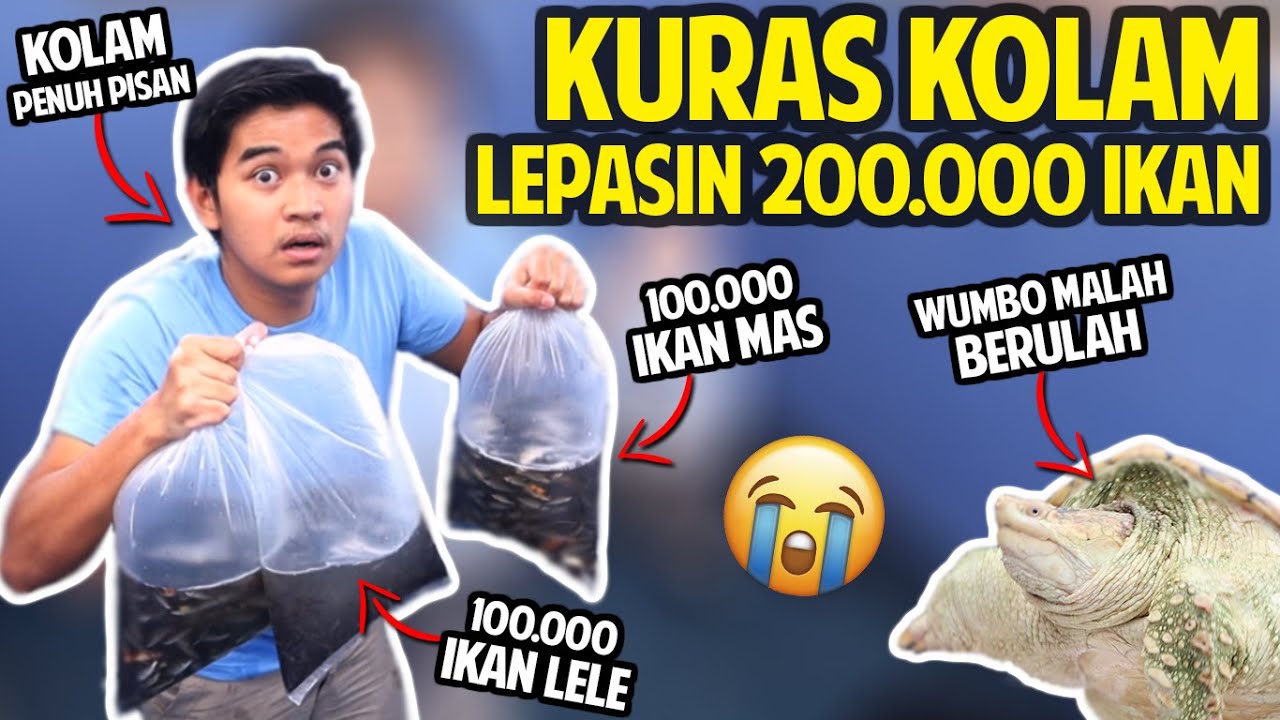 KURAS KOLAM + LEPASIN 200.000 IKAN MAS & LELE KE KOLAM! PENUH BANGET