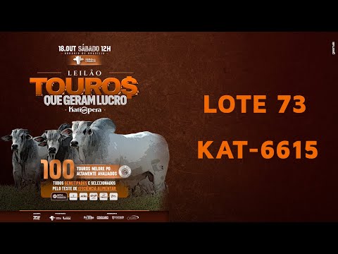 LOTE 73   KAT 6615