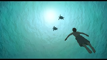 映画 「レッドタートル ある島の物語」 紹介 - The Red Turtle -