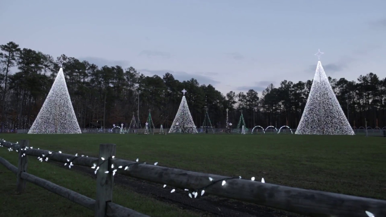 Park Christmas Lights 2020