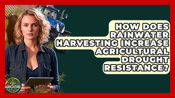 How Does Rainwater Harvesting Increase Agricultural Drought Resistance? - The World of Agriculture