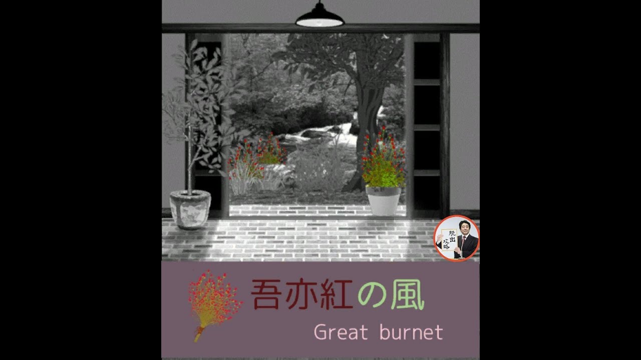 脱出ゲームgreatburnet 吾亦紅の風 Rinnogogo 攻略 Walkthrough 脫出 Youtube 脱出ゲームgreatburnet 吾亦紅の風 Rinnogogo 攻略 Walkthrough 脫出 Youtube