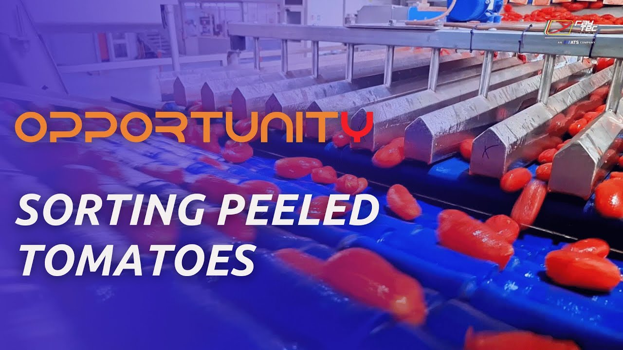 Opportunity: Next-Level AI Sorting Machine for Peeled Tomatoes | RAYTEC VISION SpA