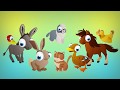 Evcil Hayvanlar Çizgi Film