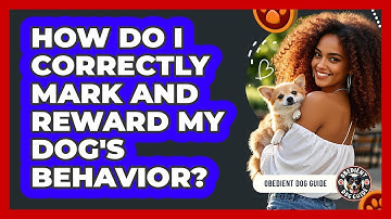 How Do I Correctly Mark And Reward My Dog