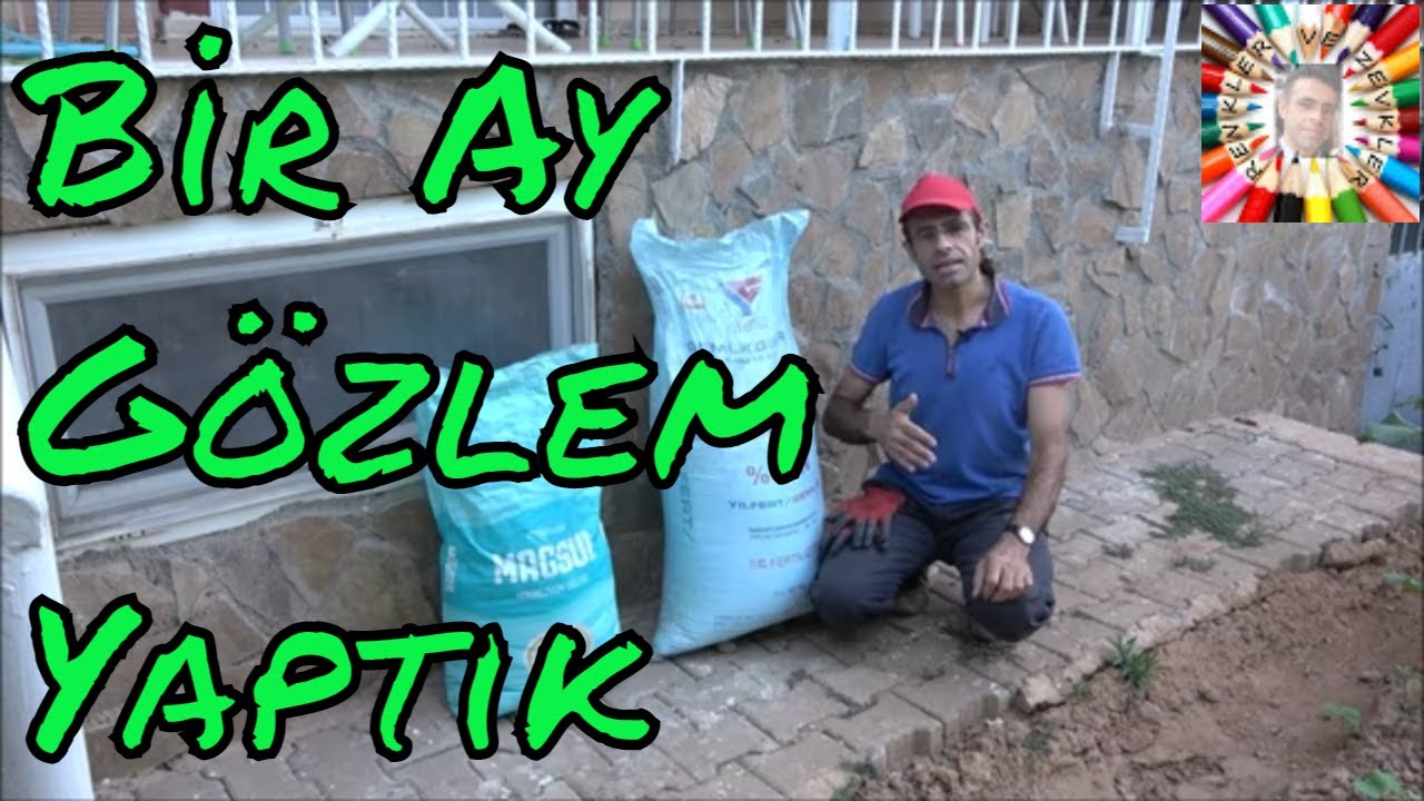 Azot Gübresinin Fideler Üzerindeki Etkisi 💯