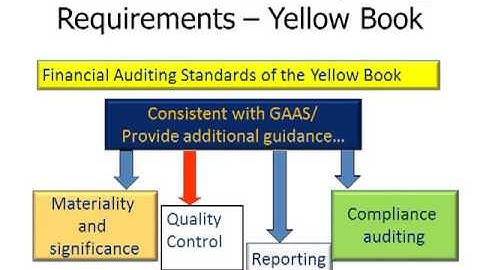 MBA 605 AUDITING Internal Gov Finl and Operational Auditing Discussion Audio