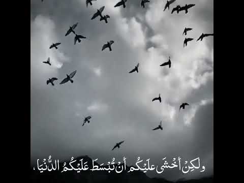 حديث رسول الله ﷺ والله ما الفقر أخشى عليكم