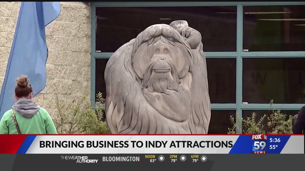 Attraction Pass aims to attract visitors