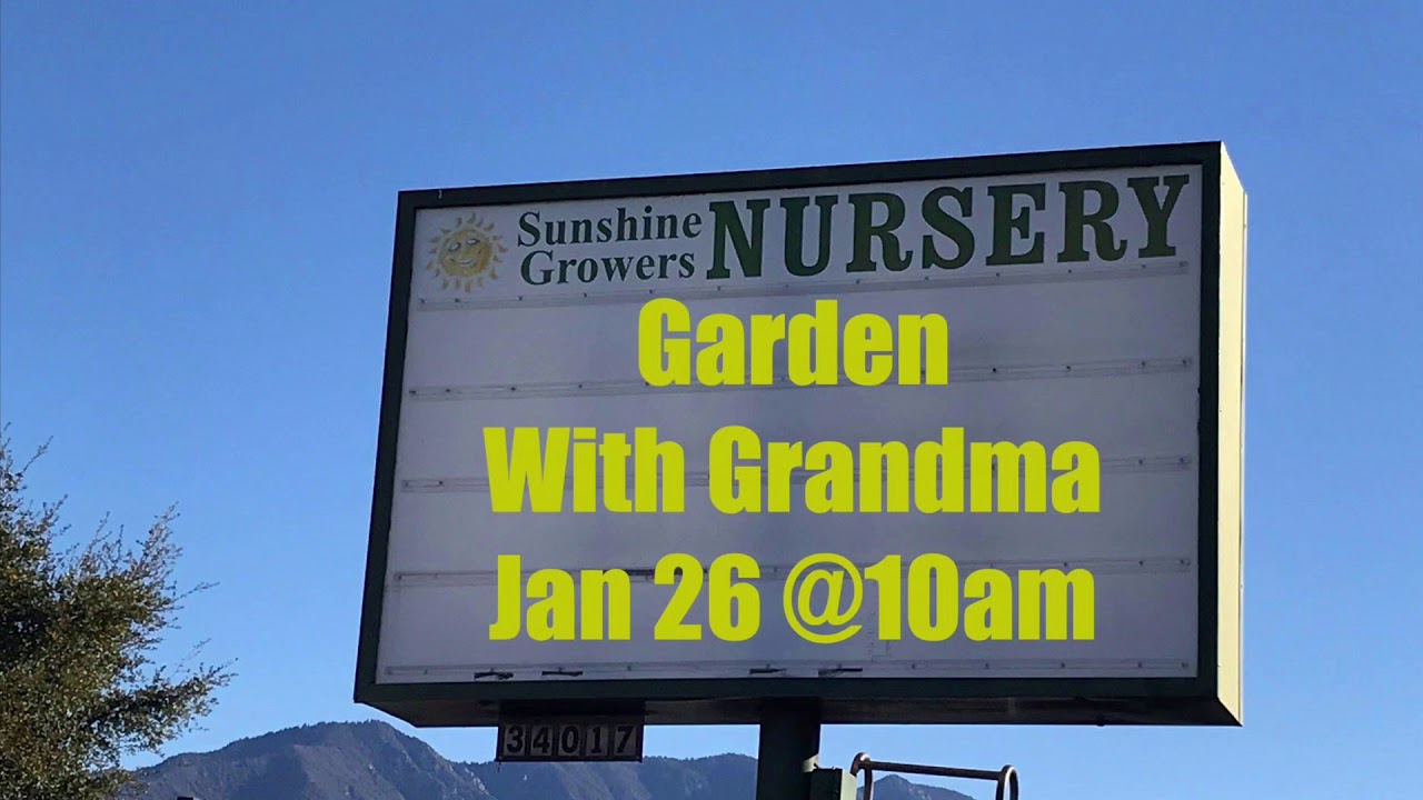 Sales at Sunshine Nursery YouTube