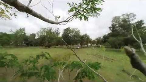 Insta360 go // cinewhoop // flowstate