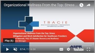 Organizational Wellness From the Top: Stress Mitigation and Work Satisfaction for Staff screenshot 2