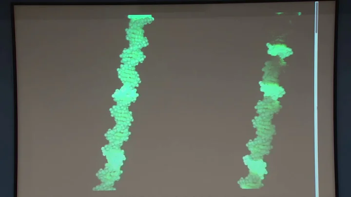 Research Techniques Spring 2019 CRISPR Cas9