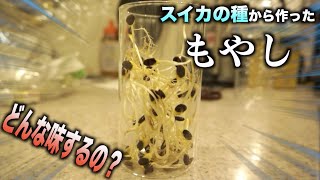 スイカの種から作った