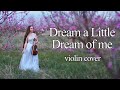 Dream a Little Dream Of Me - violin cover by Kris Latysheva