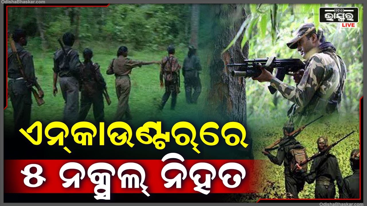 ଦାନ୍ତେୱାଡା ଓ ନାରାୟଣପୁର ଜିଲ୍ଲାର ମଧ୍ୟ ଭାଗରେ ସୁରକ୍ଷାକର୍ମୀଙ୍କ ଗୁଳିରେ ନିହତ ହୋଇଛନ୍ତି ୫ ଜଣ ମାଓବାଦୀ |