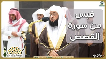 تلاوة محبّرة من سورة القصص للقارئ الشيخ بدر بن محمد التركي، من صلاة التهجّد ليلة 23 رمضان 1445هـ