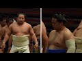 Sumo soulmates: Midorifuji and Nishikifuji (伊勢ケ濱部屋の仲良し同学年コンビ: 翠富士と錦富士)