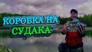 видео: НА ЧТО ПОЙМАТЬ СУДАКА С БЕРЕГА?КАК собрать КОРОБКУ СИЛИКОНОВЫХ приманок для ловли КРУПНОЙ РЫБЫ! картинка: НА ЧТО ПОЙМАТЬ СУДАКА С БЕРЕГА?КАК собрать КОРОБКУ СИЛИКОНОВЫХ приманок для ловли КРУПНОЙ РЫБЫ!