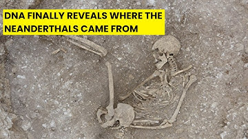 Ancient DNA Finally Reveals the REAL Origin of the Neanderthals