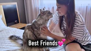 Details The Unbreakable Bond Between a Maine Coon and His Human❣️ Guide