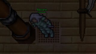 Akorn | PLAYER KILLING (Rubera, Tibia 7.7)