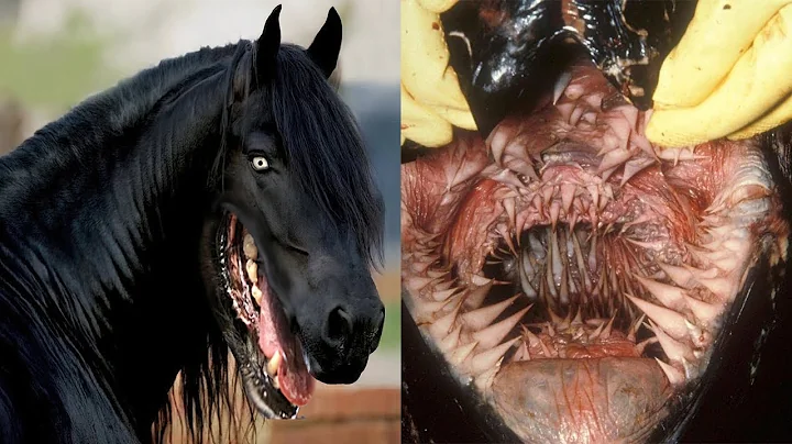 25 Deadliest Animal Mouths That Will Give You Chills! - DayDayNews