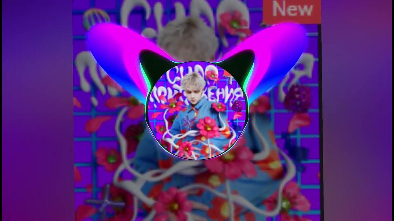 иван дмитриенко певец. сила притяжения ваня дмитриенко текст. аня дмитриенко сила притяжения. ваня дмитренко. сколько лет ване дмитриенко сейчас.