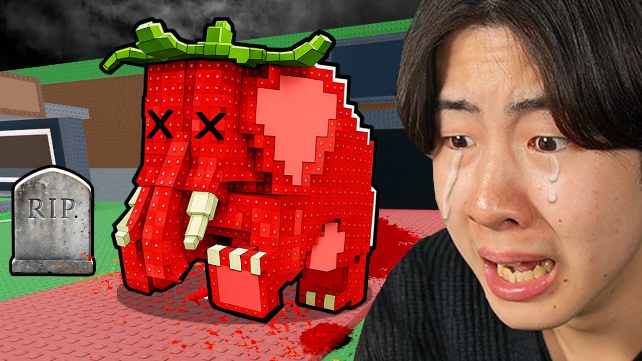 maxresdefault.jpg