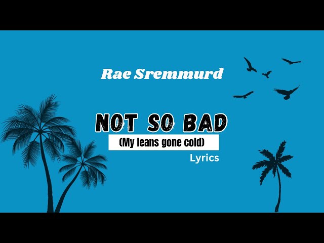 Rae Sremmurd - Not So Bad (Leans Gone Cold) (Lyrics) my leans gone cold im  wondering why 