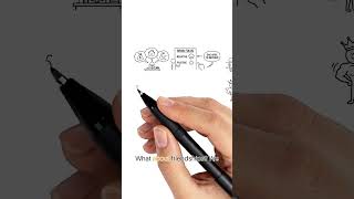 The Unexpected Joy of the Ordinary | Book Summary | Whiteboard Animation