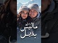 كليب أغنية ماليش بديل، عمرودياب #amrdiab #malesh_badeel #ماليشـبديل #عمرو_دياب #ابتدينا #love