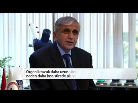 Prof. Dr. Şakir