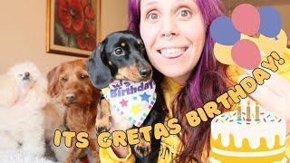 Sausage dog birthday vlog!