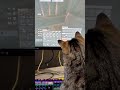 Rust. Hello Eva(kitty) #rust #rustshorts #cat #catfunny