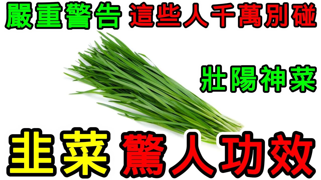 韭菜的營養價值，韭菜的功效，韭菜的副作用，韭菜的禁忌，吃韭菜有什麼好處？韭菜可以補腎壯陽嗎？韭菜可以天天吃嗎？哪些人不能吃韭菜？ - YouTube