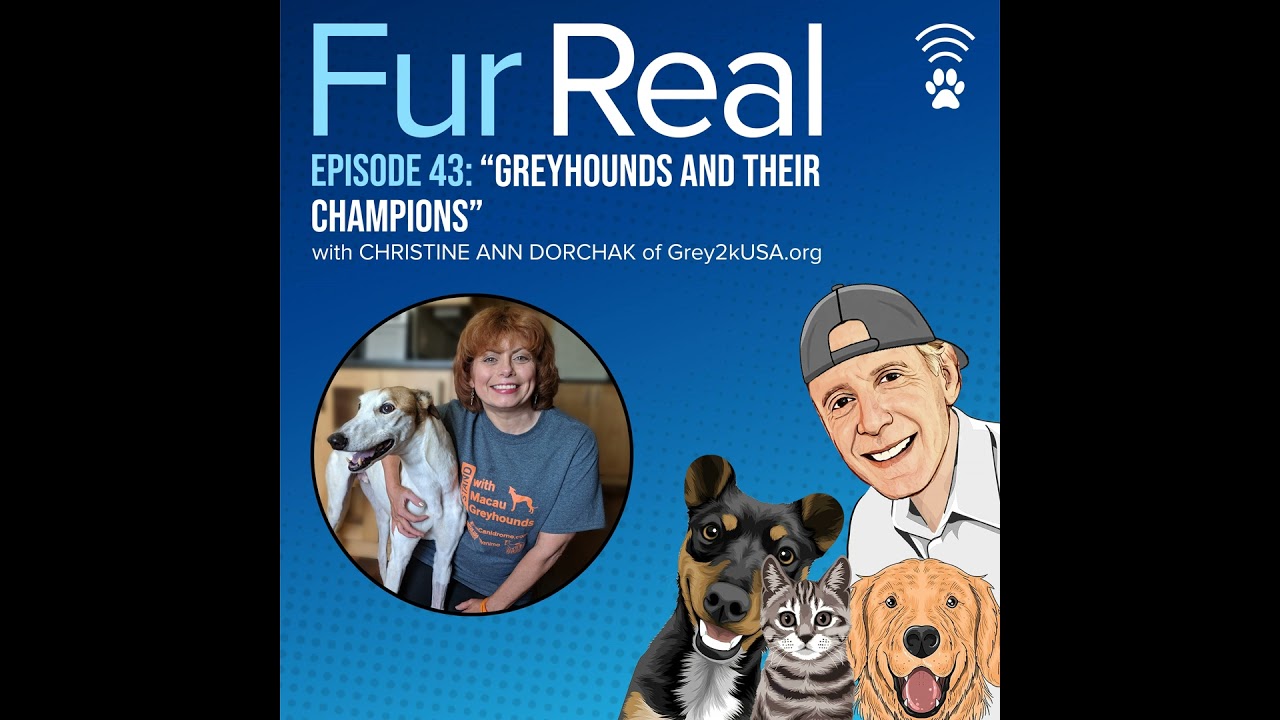 "GREYHOUNDS AND THEIR CHAMPIONS"  with  Christine Ann Dorchak of Grey2kUSA